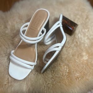 White and tortoise slides